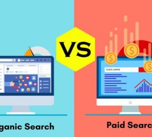 How to use organic search results with paid search to your advantage
