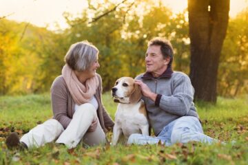 Benefits of CBD for Senior Dogs