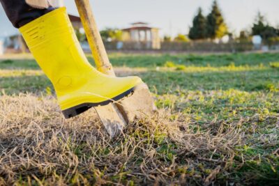 Common Pipe Lining Benefits You Should Know Before Digging Your Yard!